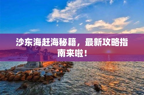 沙東海趕海秘籍，最新攻略指南來啦！