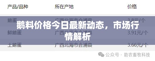 鵝料價(jià)格今日最新動(dòng)態(tài)，市場(chǎng)行情解析