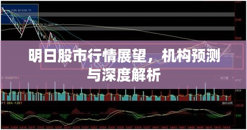 明日股市行情展望，機(jī)構(gòu)預(yù)測與深度解析