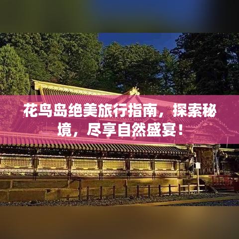 花鳥島絕美旅行指南，探索秘境，盡享自然盛宴！