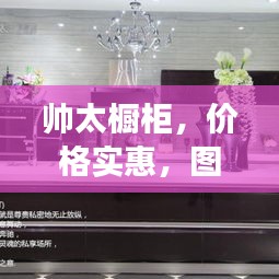 帥太櫥柜，價(jià)格實(shí)惠，圖片全景展示