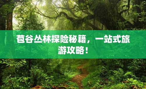 苞谷叢林探險(xiǎn)秘籍，一站式旅游攻略！