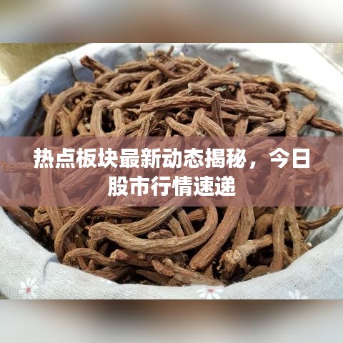 熱點板塊最新動態(tài)揭秘，今日股市行情速遞