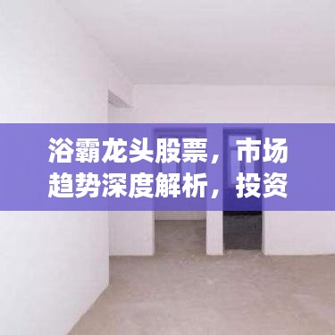 浴霸龍頭股票，市場趨勢深度解析，投資洞察必備指南