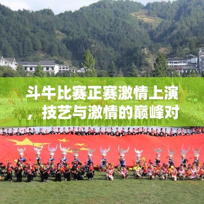 斗牛比賽正賽激情上演，技藝與激情的巔峰對(duì)決
