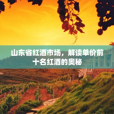 山東省紅酒市場，解讀單價前十名紅酒的奧秘