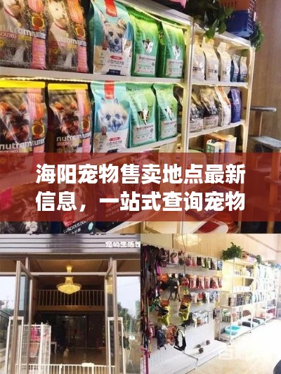 海陽寵物售賣地點最新信息，一站式查詢寵物愛好者福音