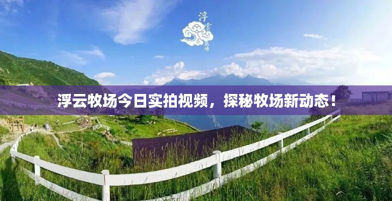 浮云牧場今日實拍視頻，探秘牧場新動態(tài)！