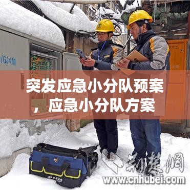 突發(fā)應(yīng)急小分隊(duì)預(yù)案，應(yīng)急小分隊(duì)方案 
