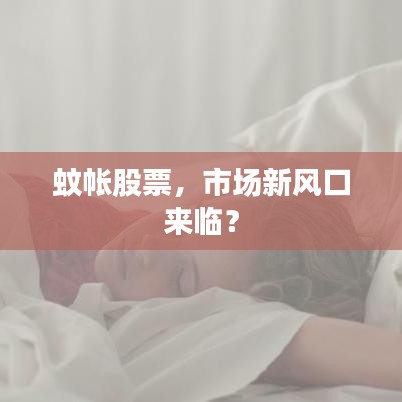 蚊帳股票，市場新風口來臨？