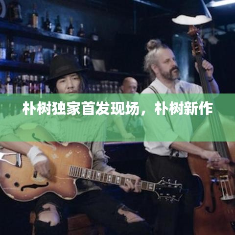 樸樹獨(dú)家首發(fā)現(xiàn)場(chǎng)，樸樹新作 