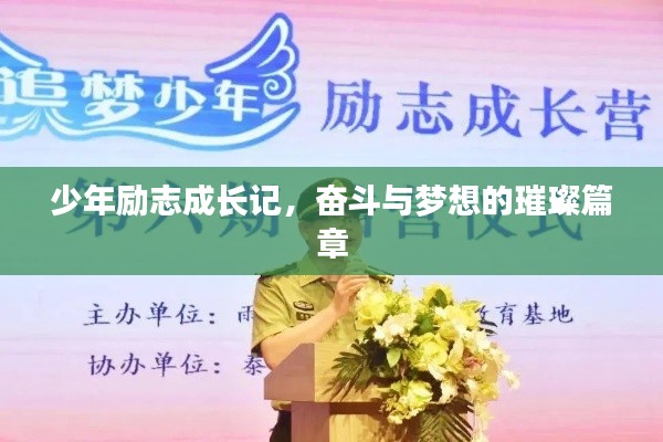 少年勵志成長記，奮斗與夢想的璀璨篇章