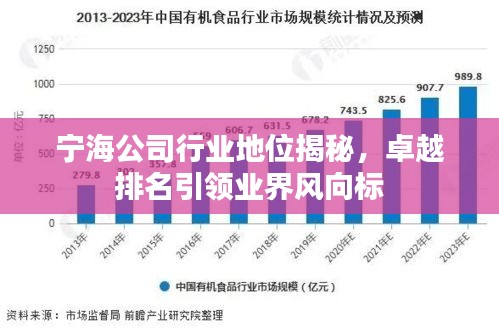 寧海公司行業(yè)地位揭秘，卓越排名引領(lǐng)業(yè)界風(fēng)向標(biāo)