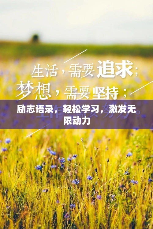 勵(lì)志語錄，輕松學(xué)習(xí)，激發(fā)無限動(dòng)力