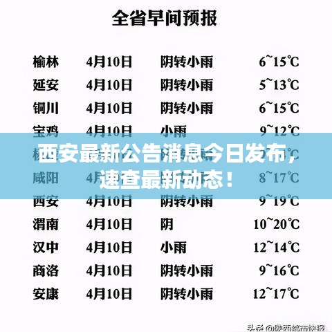 西安最新公告消息今日發(fā)布，速查最新動(dòng)態(tài)！