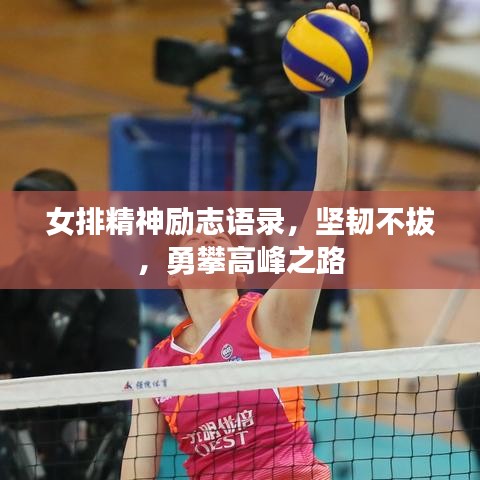 女排精神勵(lì)志語(yǔ)錄，堅(jiān)韌不拔，勇攀高峰之路