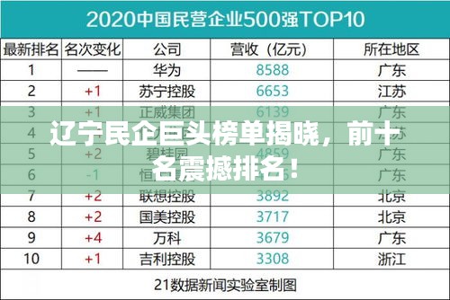 遼寧民企巨頭榜單揭曉，前十名震撼排名！