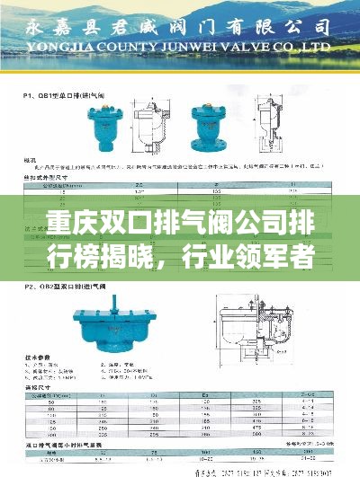 重慶雙口排氣閥公司排行榜揭曉，行業(yè)領(lǐng)軍者榜單！
