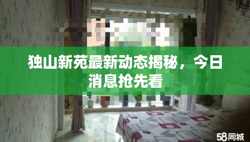獨(dú)山新苑最新動(dòng)態(tài)揭秘，今日消息搶先看
