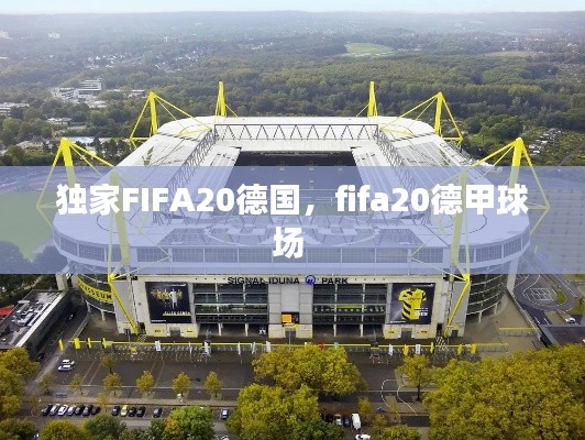 獨(dú)家FIFA20德國(guó)，fifa20德甲球場(chǎng) 