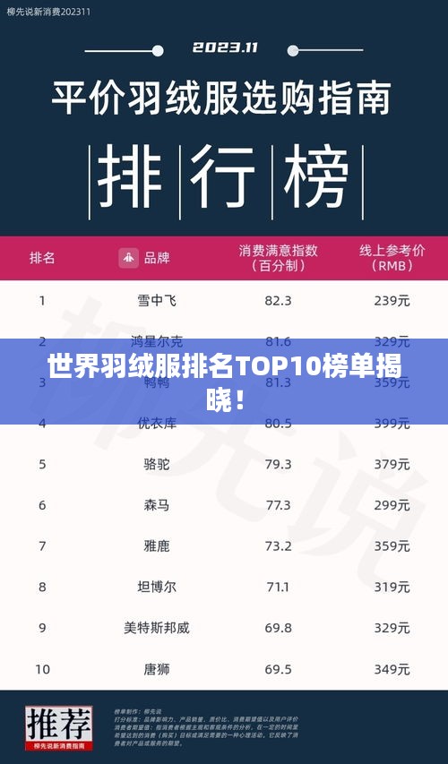 世界羽絨服排名TOP10榜單揭曉！