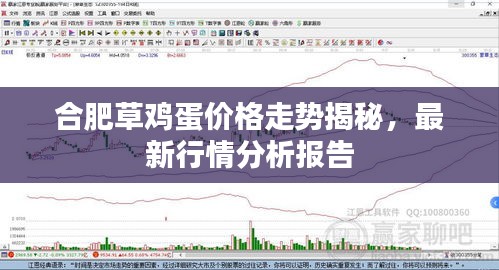 合肥草雞蛋價格走勢揭秘，最新行情分析報告