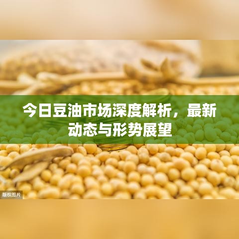 今日豆油市場深度解析，最新動態(tài)與形勢展望