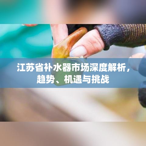 江蘇省補(bǔ)水器市場(chǎng)深度解析，趨勢(shì)、機(jī)遇與挑戰(zhàn)