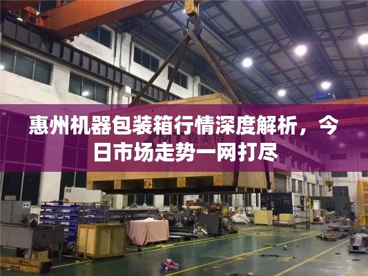 惠州機器包裝箱行情深度解析，今日市場走勢一網打盡