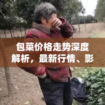 包菜價格走勢深度解析，最新行情、影響因素及預測