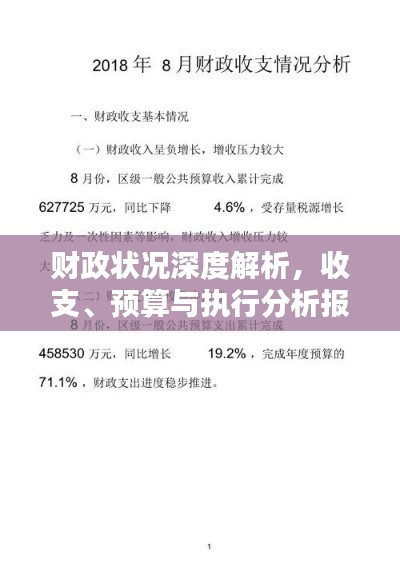 財(cái)政狀況深度解析，收支、預(yù)算與執(zhí)行分析報(bào)告