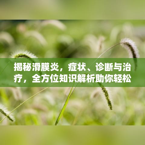 揭秘滑膜炎，癥狀、診斷與治療，全方位知識解析助你輕松應(yīng)對！