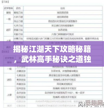 揭秘江湖天下攻略秘籍，武林高手秘訣之道獨(dú)家揭秘