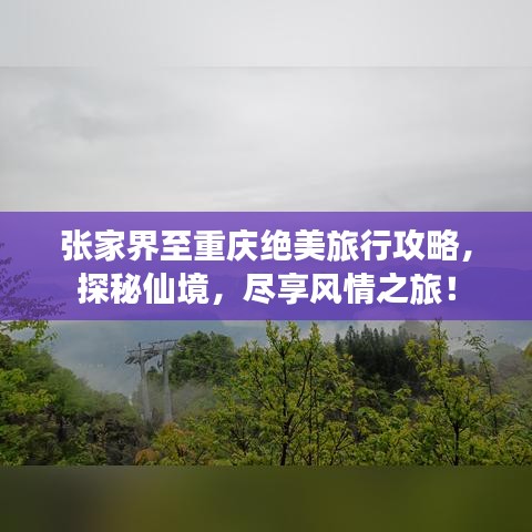 政策法規(guī) 第20頁(yè)