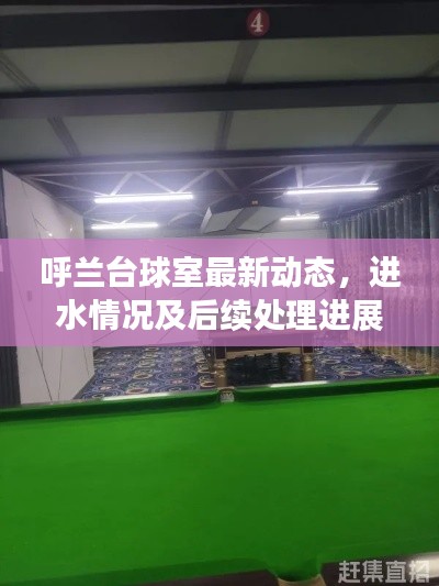 呼蘭臺球室最新動態(tài)，進水情況及后續(xù)處理進展揭秘
