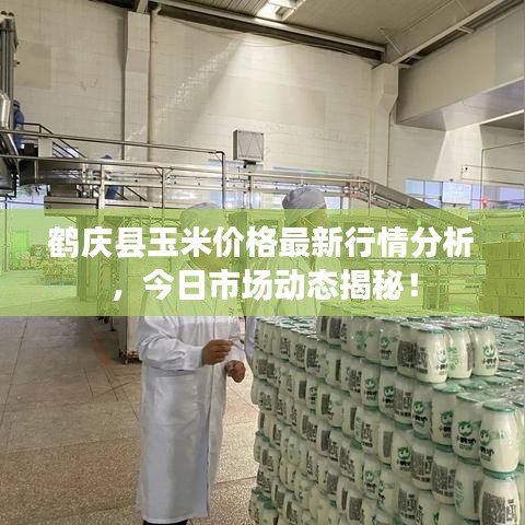 鶴慶縣玉米價格最新行情分析，今日市場動態(tài)揭秘！