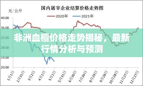 非洲血檀價(jià)格走勢揭秘，最新行情分析與預(yù)測