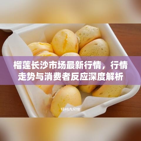 榴蓮長(zhǎng)沙市場(chǎng)最新行情，行情走勢(shì)與消費(fèi)者反應(yīng)深度解析