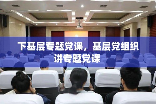 下基層專題黨課，基層黨組織講專題黨課 