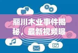 麗川木業(yè)事件揭秘，最新視頻曝光，深度探究背后真相