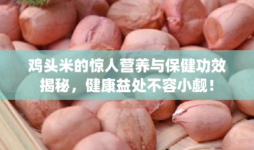 雞頭米的驚人營養(yǎng)與保健功效揭秘，健康益處不容小覷！