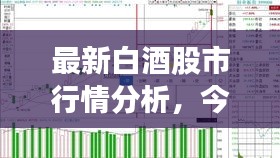 最新白酒股市行情分析，今日股價走勢揭秘
