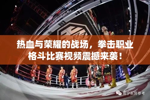熱血與榮耀的戰(zhàn)場，拳擊職業(yè)格斗比賽視頻震撼來襲！