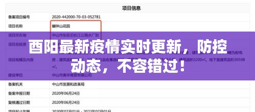酉陽最新疫情實(shí)時(shí)更新，防控動(dòng)態(tài)，不容錯(cuò)過！