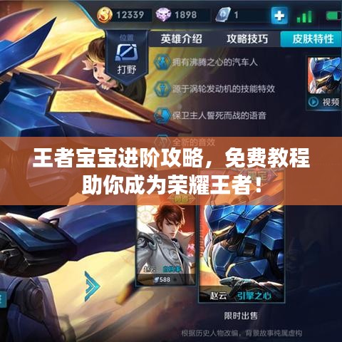 王者寶寶進(jìn)階攻略，免費(fèi)教程助你成為榮耀王者！