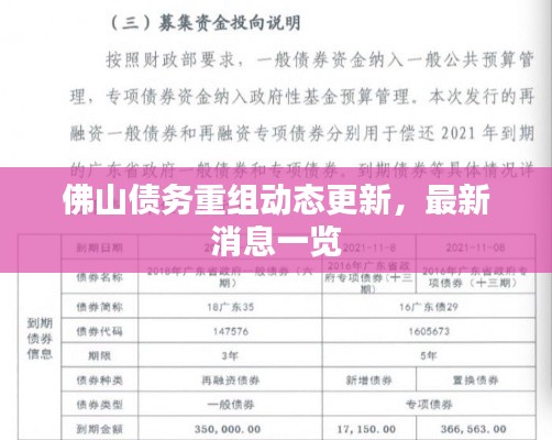 佛山債務(wù)重組動(dòng)態(tài)更新，最新消息一覽