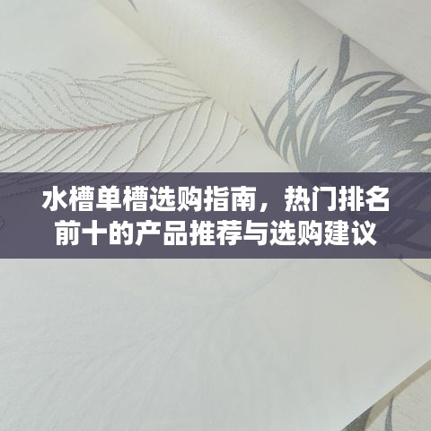 水槽單槽選購指南，熱門排名前十的產(chǎn)品推薦與選購建議