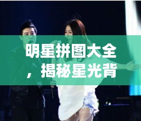 明星拼圖大全，揭秘星光背后的精彩瞬間