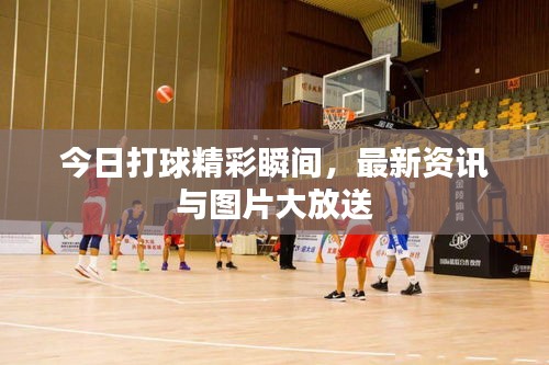 今日打球精彩瞬間，最新資訊與圖片大放送