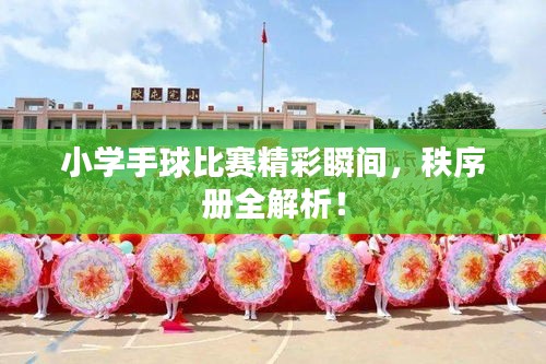 小學(xué)手球比賽精彩瞬間，秩序冊(cè)全解析！